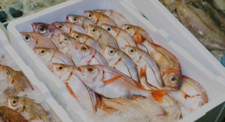 Best Way to Do Eco and Agriculture